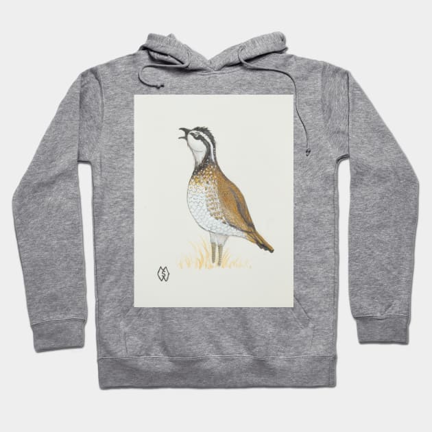 A bobwhite quail whistling a call Hoodie by Matt Starr Fine Art